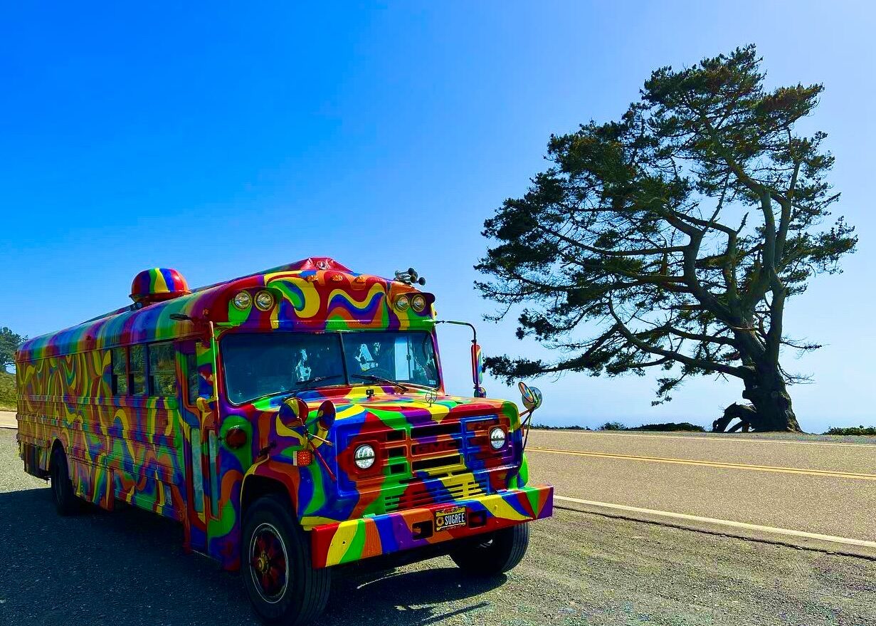 SUGAREE parked on the Pacific coast highway beside a windswept tree