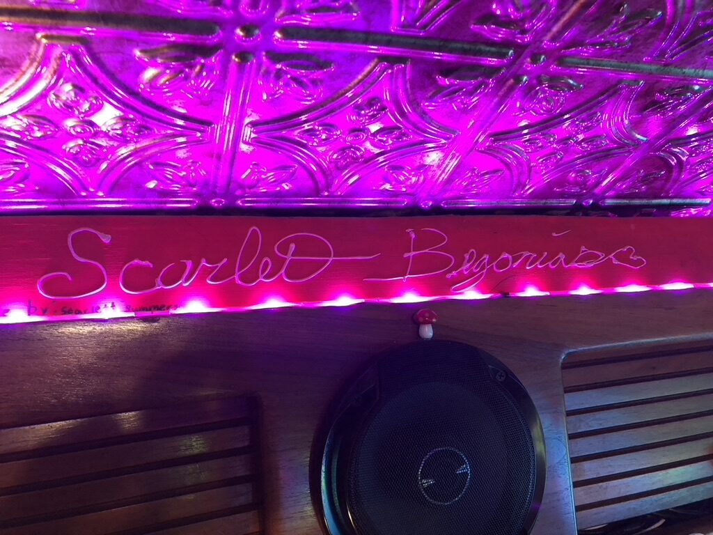 Close-up of the hand-painted 'Scarlet Begonias' sign inside SUGAREE, lit in pink under the tin ceiling