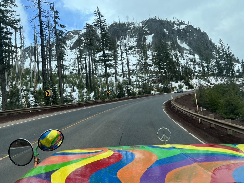 Windshield view of a snowy mountain road winding through pines