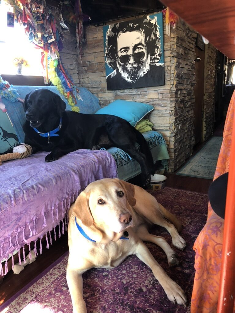 Layla and Ryder relaxing inside SUGAREE after a full day of fun in California, beneath a Jerry Garcia portrait